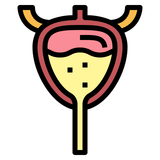 Bladder body healthcare and medical physiology icon