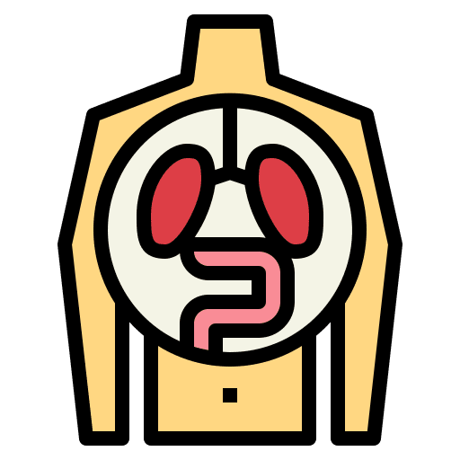 Human organ healthcare and medical body human organ icon