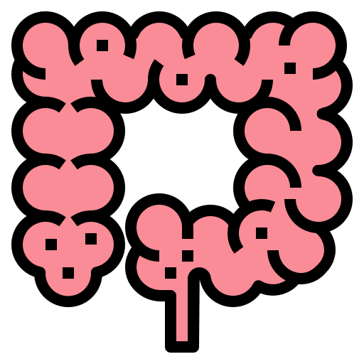 Intestine body parts medical appendix icon