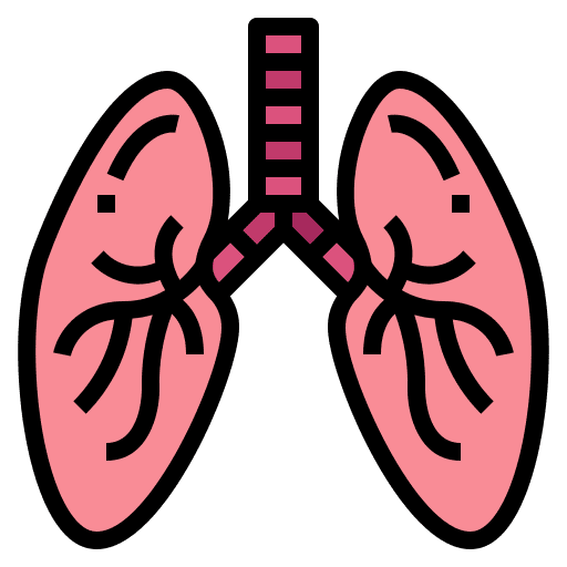 Lungs lung lungs healthcare and medical icon