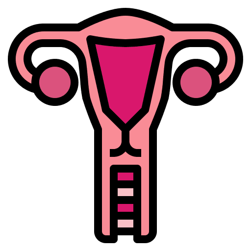 Uterus medicine female organs healthcare and medical icon