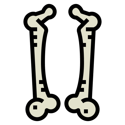 Bone human body human healthcare and medical icon