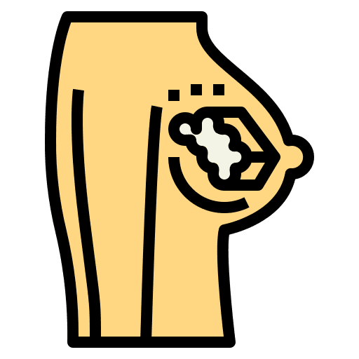 Breast healthcare and medical anatomy body parts icon