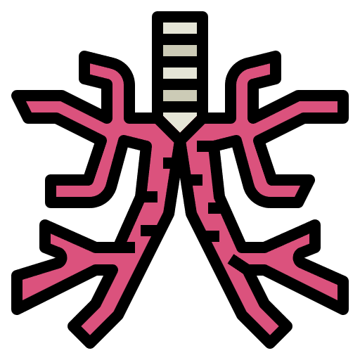 Bronchus medicine diagram bronchus icon