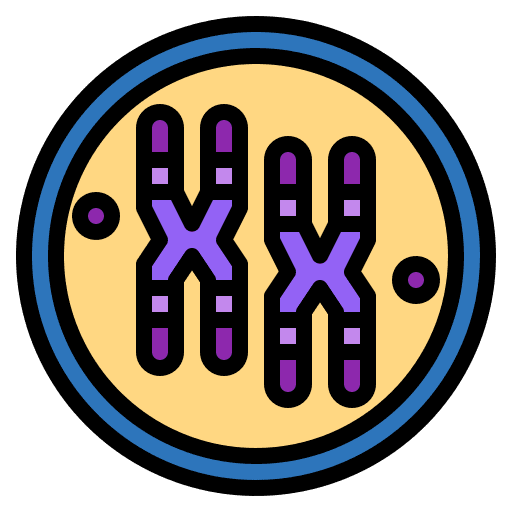 Chromosome healthcare and medical dna genetic icon