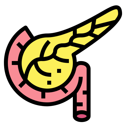 Pancreas organs healthcare and medical medical icon