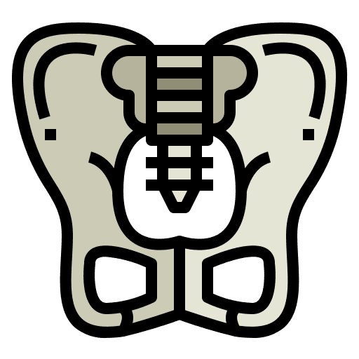 Pelvis body parts pelvis healthcare and medical icon