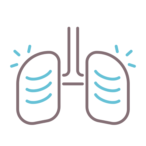 Asthma anatomy organ human lungs icon