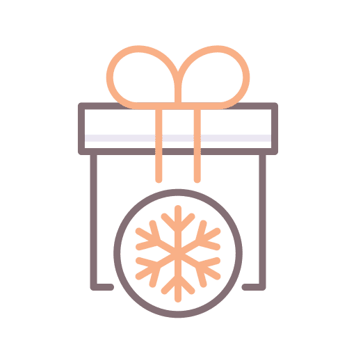 Gift box present gift box winter icon