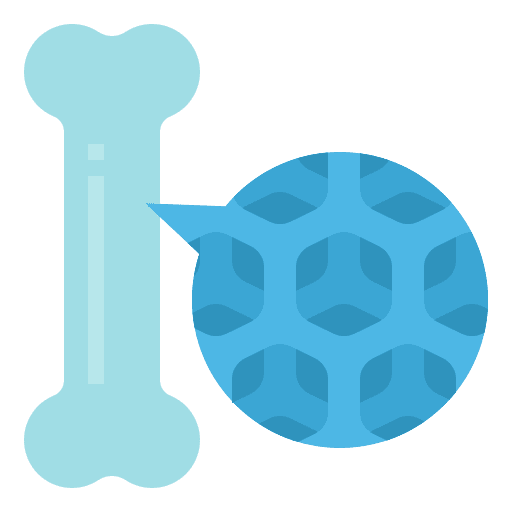 Bone medical skeleton anatomy icon