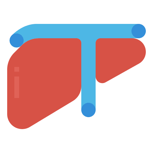 Liver internal organ healthcare and medical liver organ icon