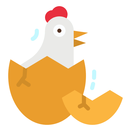 Chick chick hatch animals icon