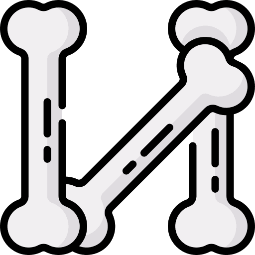 Bones healthcare and medical anatomy body parts icon