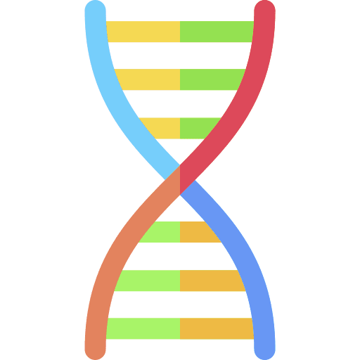 Dna dna structure genetical deoxyribonucleic acid icon