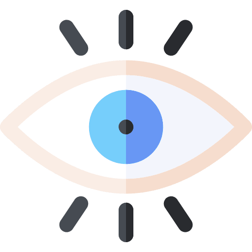Eye visible witness view icon
