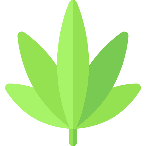 Marijuana drug nature cannabis icon
