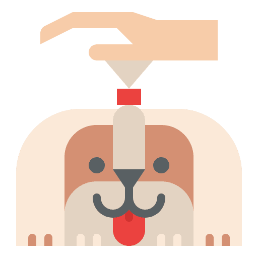 Pet care adoption hobbie stay at home icon