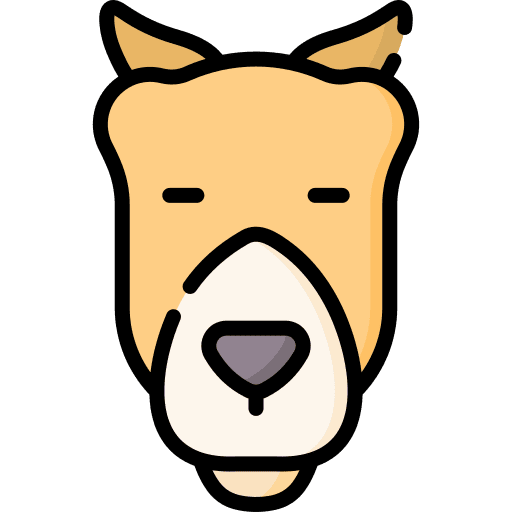 Camel animal kingdom wild life camel icon