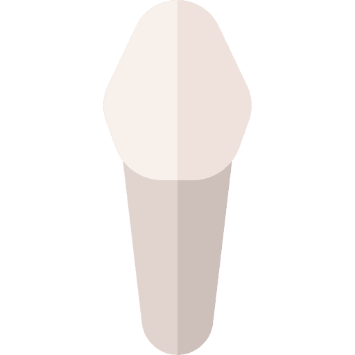 Canine dental canine dentist icon