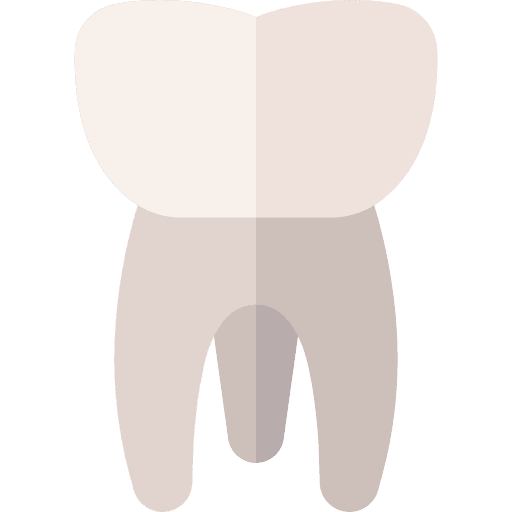 Molar dental tooth pliers premolar icon