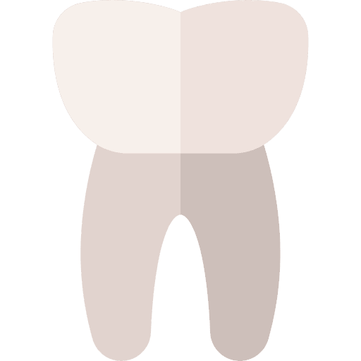 Premolar medical premolar teeth icon