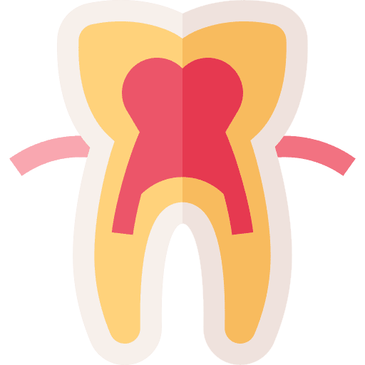 Tooth molar medical nerve icon