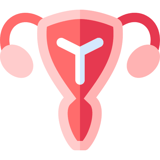 Uterus female organs anatomy ovaries icon