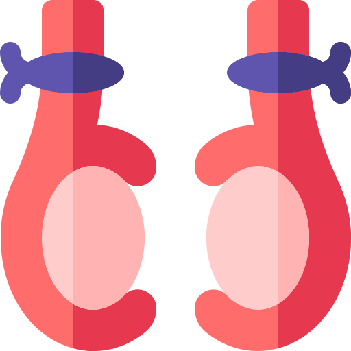 Vasectomy incision surgery penis icon