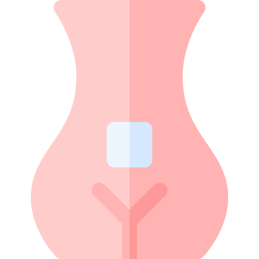 Patch pregnancy healthcare and medical contraceptive icon