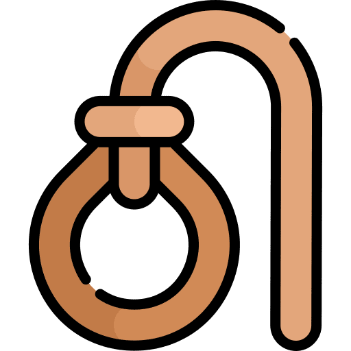 Lasso rodeo lasso tool icon
