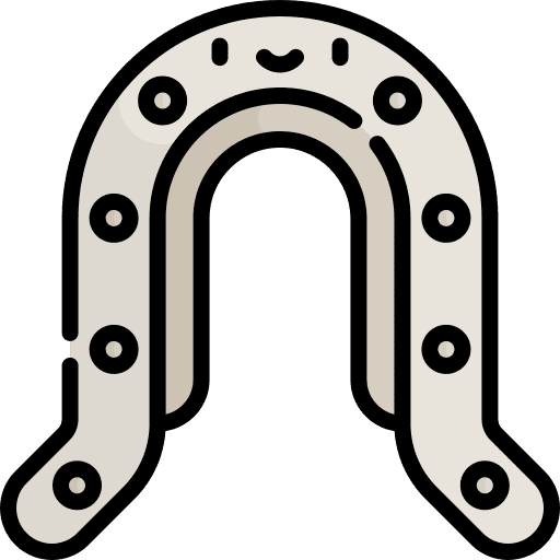 Horseshoe horse horseshoe ornamental icon