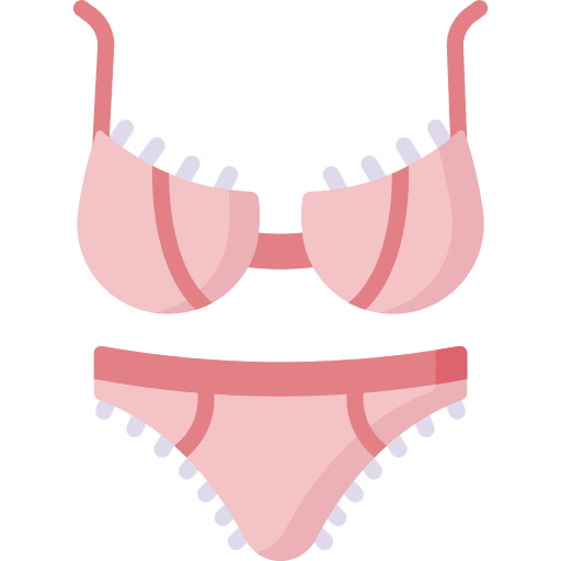 Bra brassiere knickers underwear icon