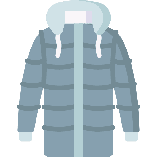 Coat gem christmas earring icon