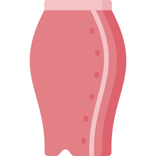 Skirt garment clothes outfit icon