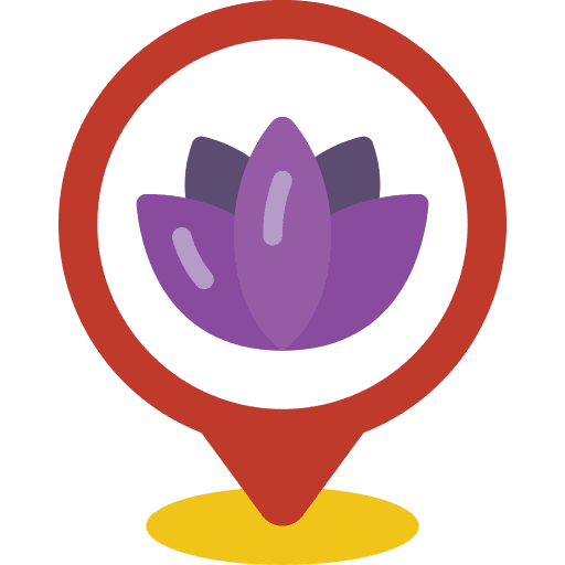 Pin beauty maps and location luxury icon