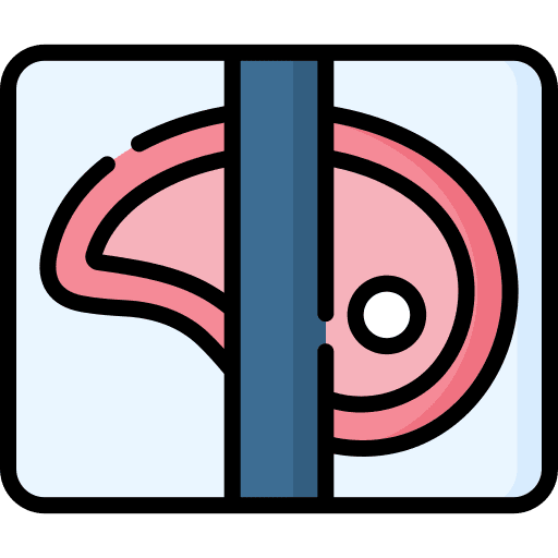 Steak shopping shopping bag delivery icon