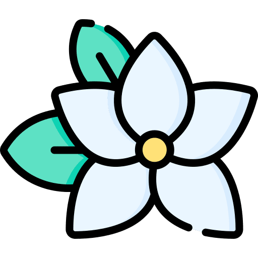 Jasmine botanical blossom petals icon