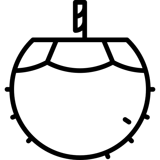 Coconut drink beach drink party icon