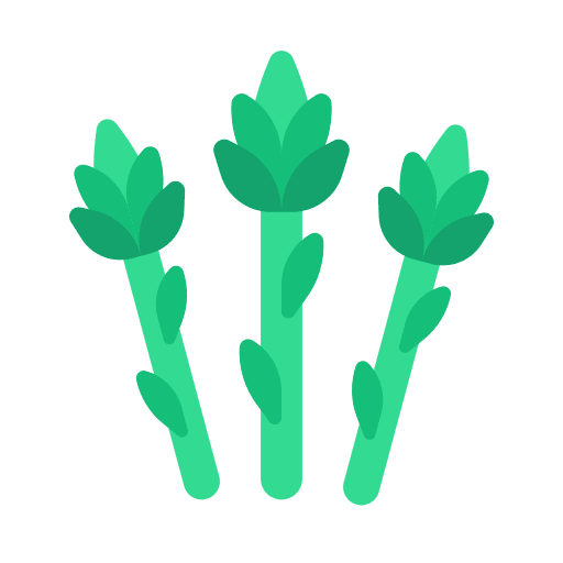 Artichoke healthy food artichoke diet icon