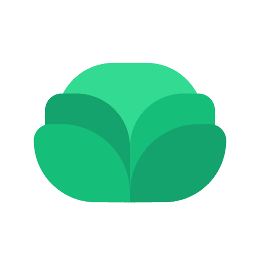 Cabbage organic food and restaurant healthy food icon