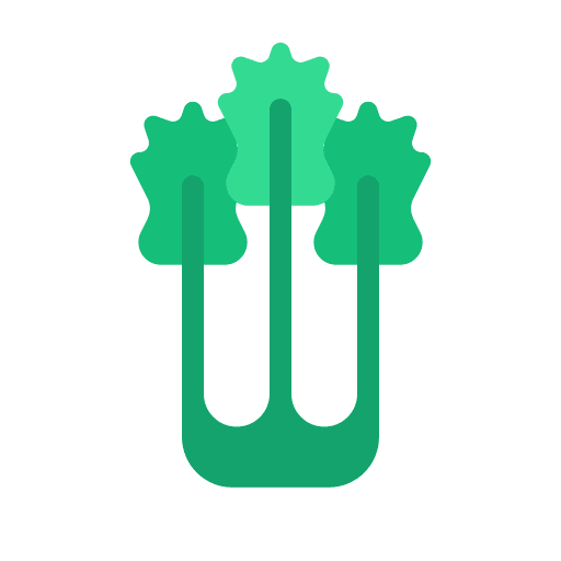 Celery vegan nutrition vegetable icon