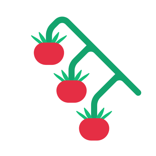 Cherry tomato food cherry tomato diet icon