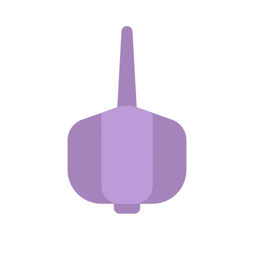 Garlic healthy food vegetable diet icon