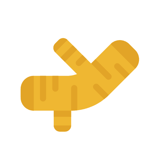 Ginger vegetable healthy ginger icon
