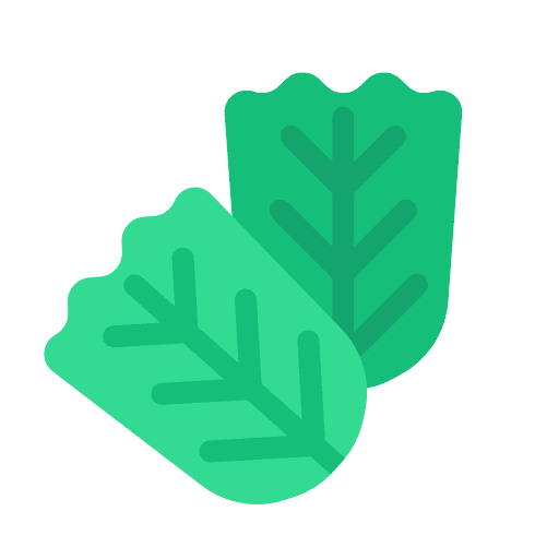 Spinach vegetable food and restaurant vegetarian icon