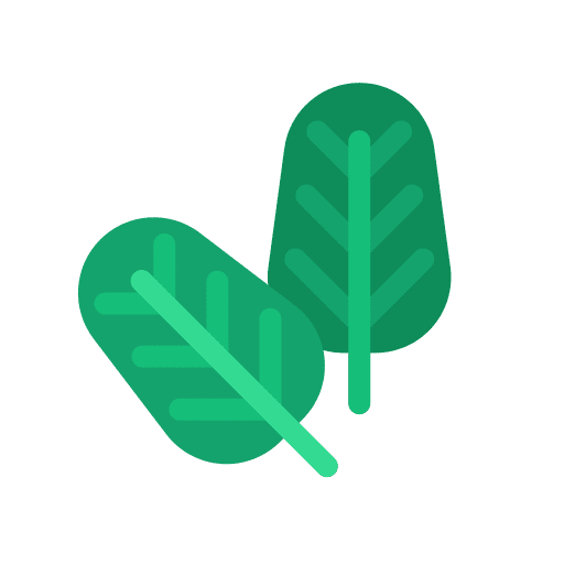 Spinach vegetable vegetarian salad icon