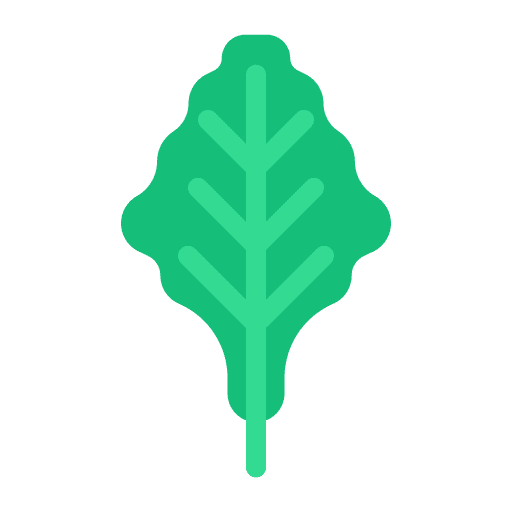 Spinach vitamins vegetarian healthy food icon