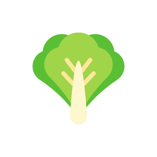 Lettuce organic food diet icon