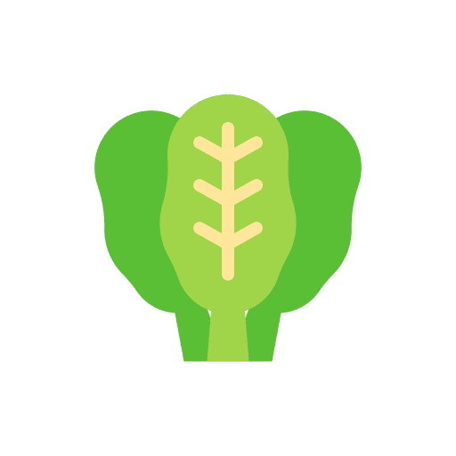 Spinach healthy food vegan spinach icon