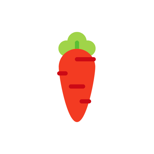 Carrots food organic fast food icon